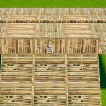 【注目の島】Ghoulz fashion