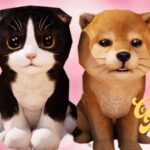 【注目の島】🐱CAT&DOG🐶