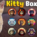 【注目の島】🐱KITTY BOX PVP📦