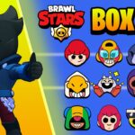 【注目の島】⭐BRAWL STARS BOX PVP📦
