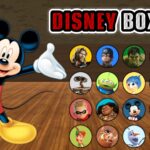 【注目の島】✨DISNEY📦BOX PVP💥