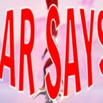 【注目の島】LAR SAYS