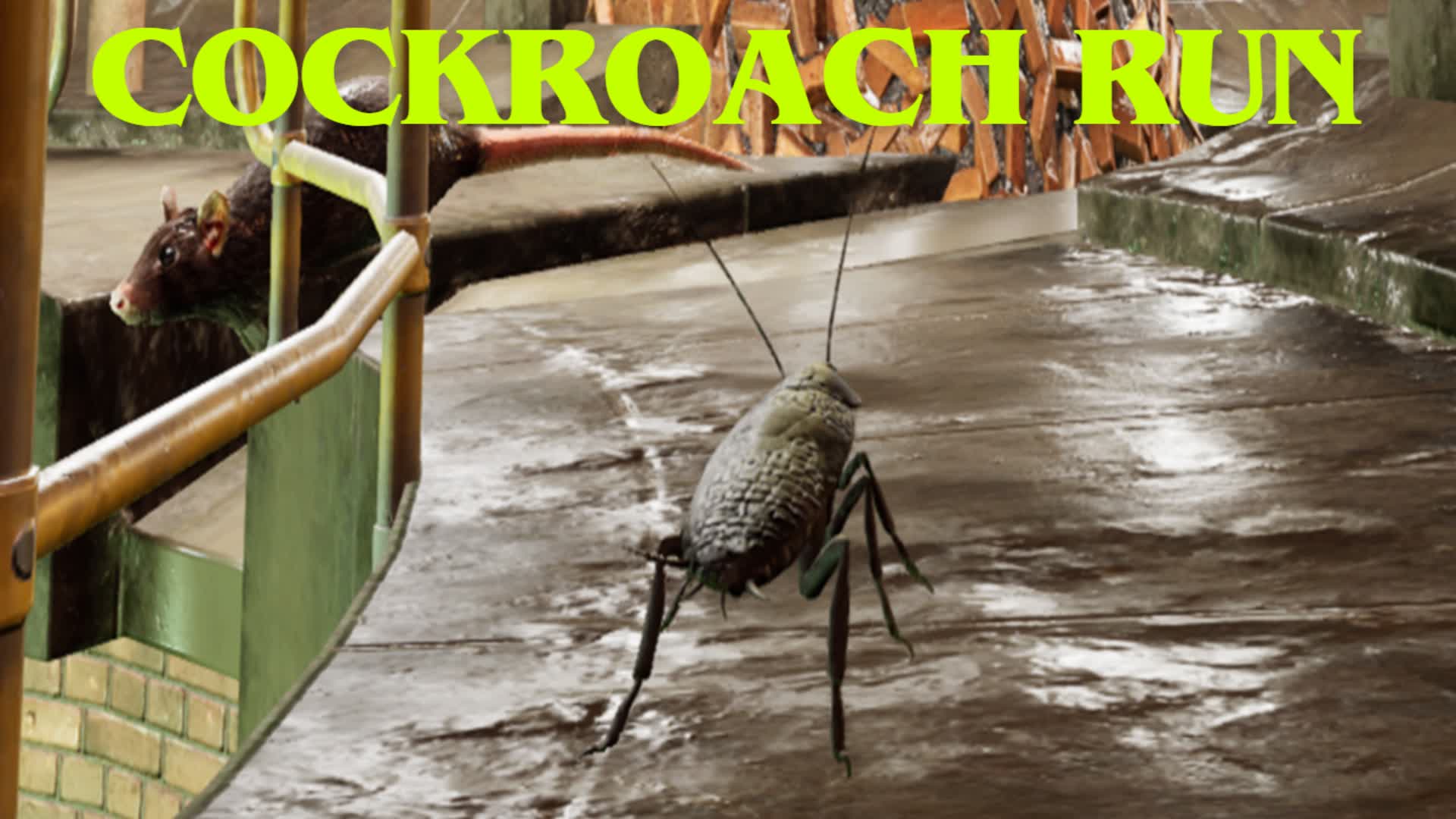 【注目の島】Cockroach Run