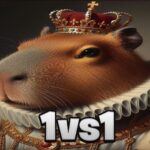 【注目の島】capy 1v1