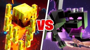 【注目の島】NETHER VS END 🔴🔵