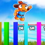 【注目の島】🏆COLOR LONG JUMP🌈