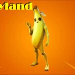 【注目の島】Peelyland