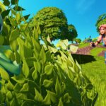 【注目の島】HIDE AND SEEK 🏝️ BUSHCAMP ISLAND