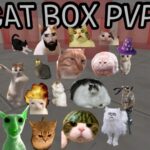 【注目の島】😹 CAT BOX FIGHT 📦