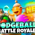 【注目の島】Dude Perfect Dodge Ball ☄️