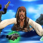 【注目の島】THE PIRATES - FFA