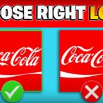 【注目の島】CHOOSE RIGHT LOGO 👀