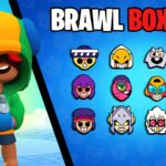 【注目の島】BRAWL BOX PVP 📦