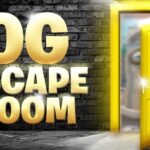 【注目の島】OG ESCAPE ROOM