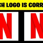 【注目の島】WHICH LOGO IS CORRECT? 👀