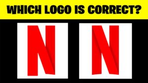 【注目の島】WHICH LOGO IS CORRECT? 👀