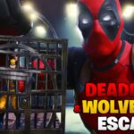 【注目の島】Deadpool x Wolverine Escape