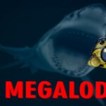 【注目の島】MEGALODON [HORROR]